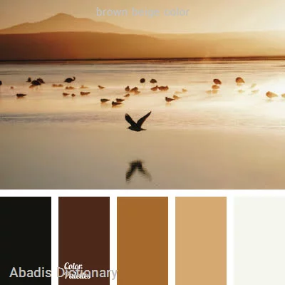 brown beige color